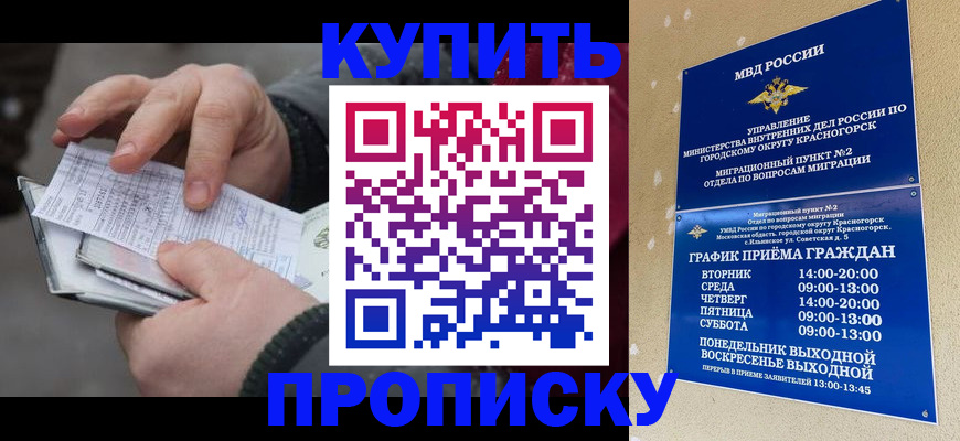 временная регистрация недорого в Коле